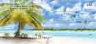 Tropical Paradise Personal Check Designs