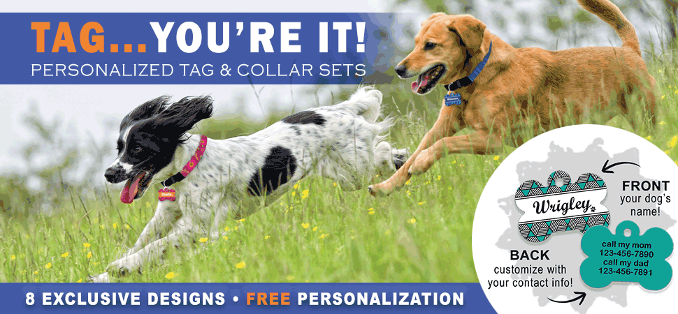 Tag...You're It! Personalized Tag & Collar Sets - 6 Exclusive Designs - FREE Personalization
